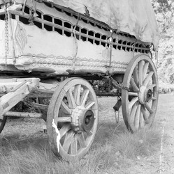 Wagon, miller, Hertfordshire