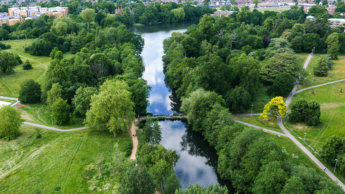 Whightknights lake with trees