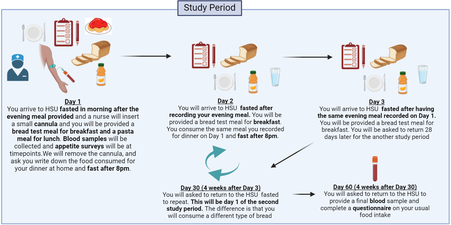 RtP Schematic