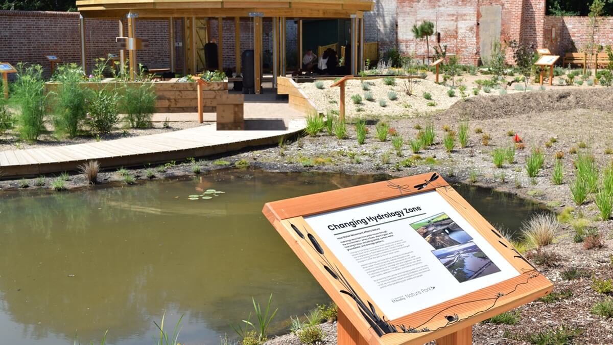 View of the pond in the University of Reading Learning Garden