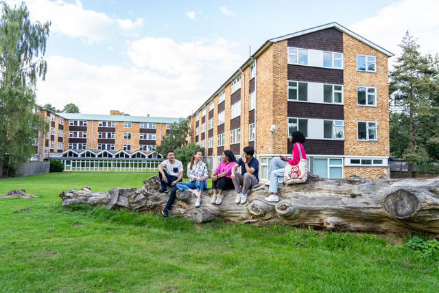 Students sat on log outside halls