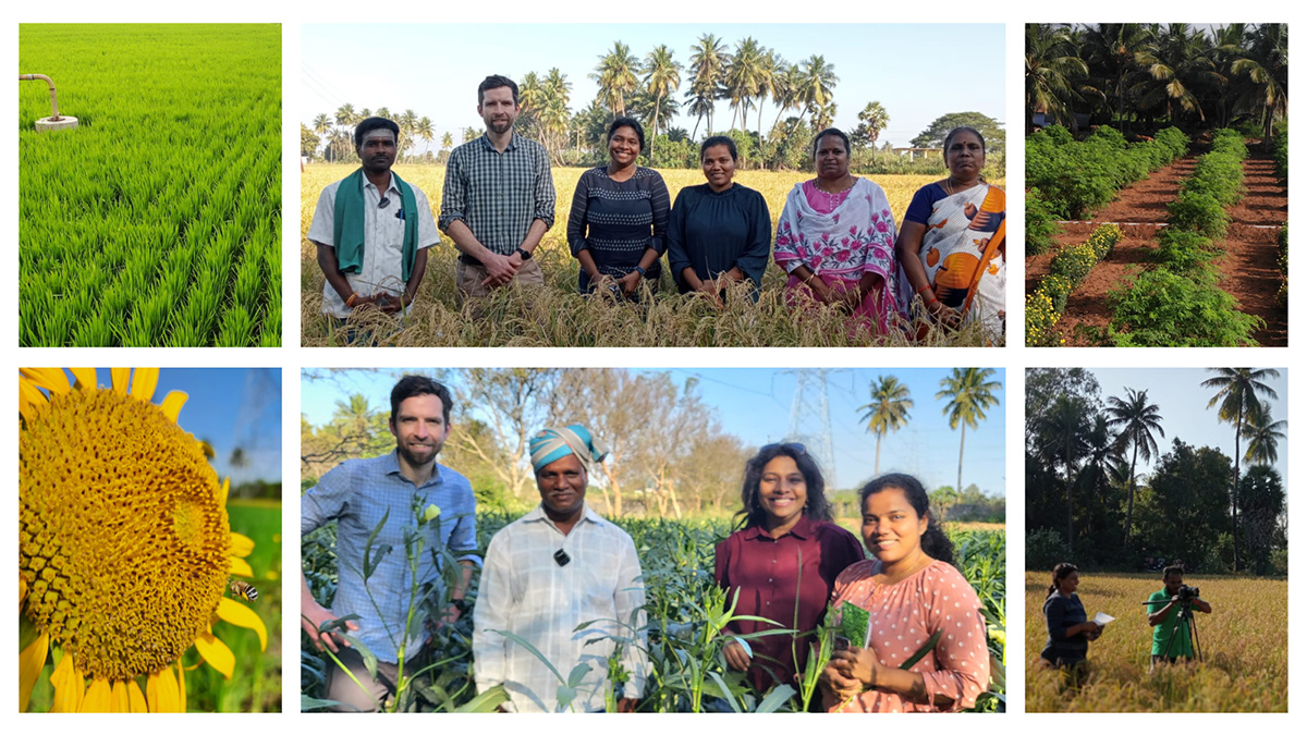 Images of Deepa Senapathi and Mike Garratt in farm